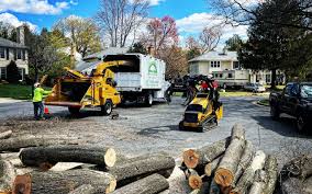 Best Tree Maintenance Programs  in Balmville, NY